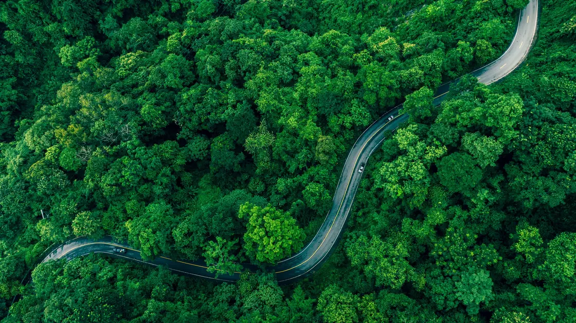 Een route door een groen landschap